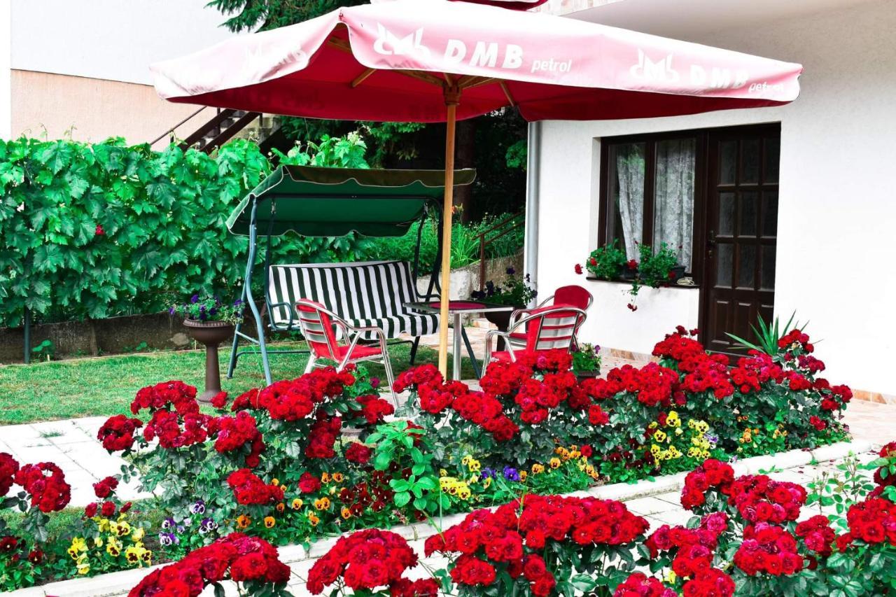 Apartmani "Vila Jelena" Arandjelovac Exteriör bild