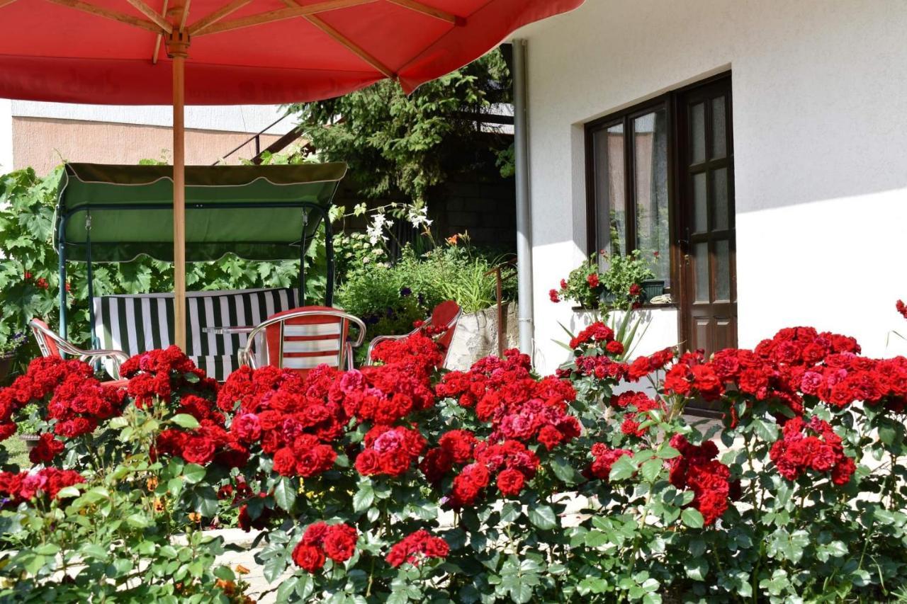 Apartmani "Vila Jelena" Arandjelovac Exteriör bild