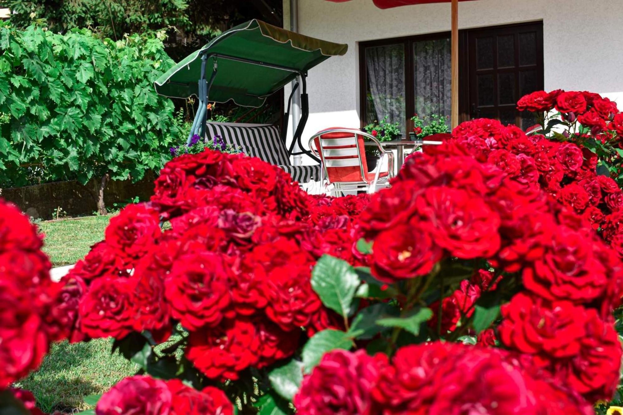 Apartmani "Vila Jelena" Arandjelovac Rum bild