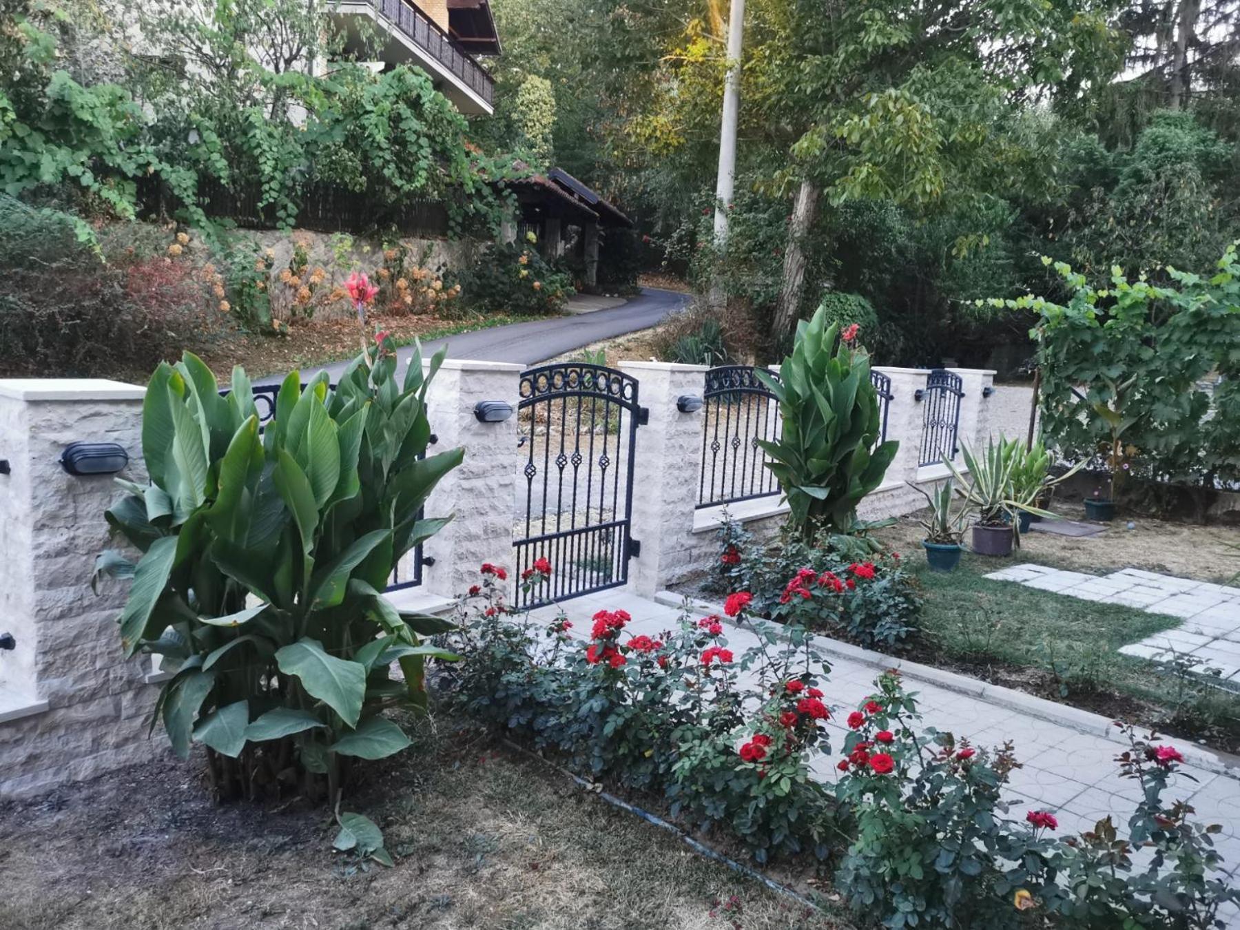 Apartmani "Vila Jelena" Arandjelovac Exteriör bild