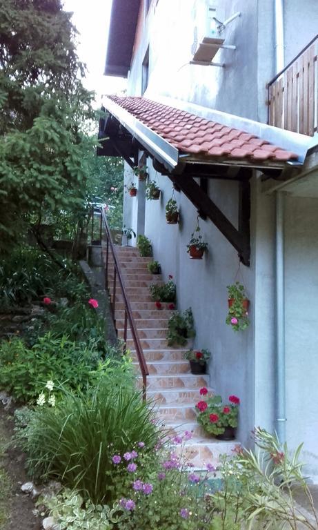 Apartmani "Vila Jelena" Arandjelovac Exteriör bild