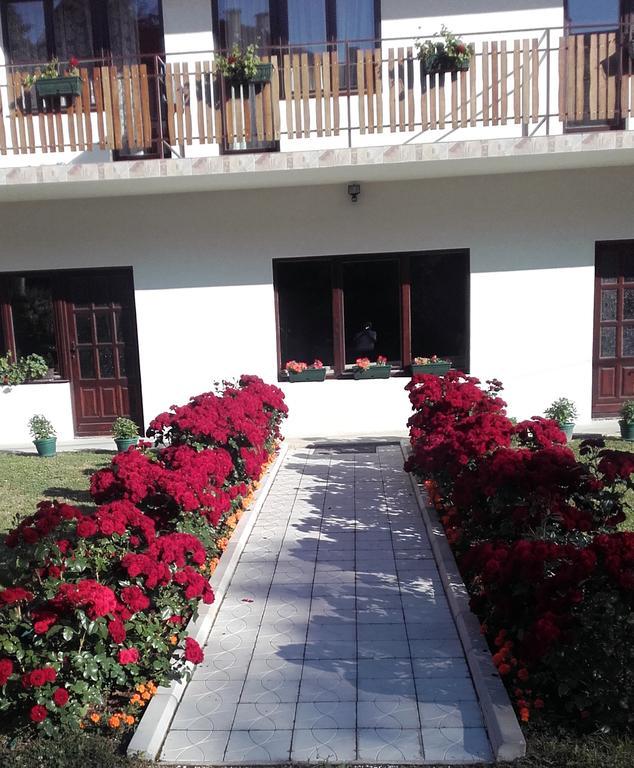 Apartmani "Vila Jelena" Arandjelovac Exteriör bild
